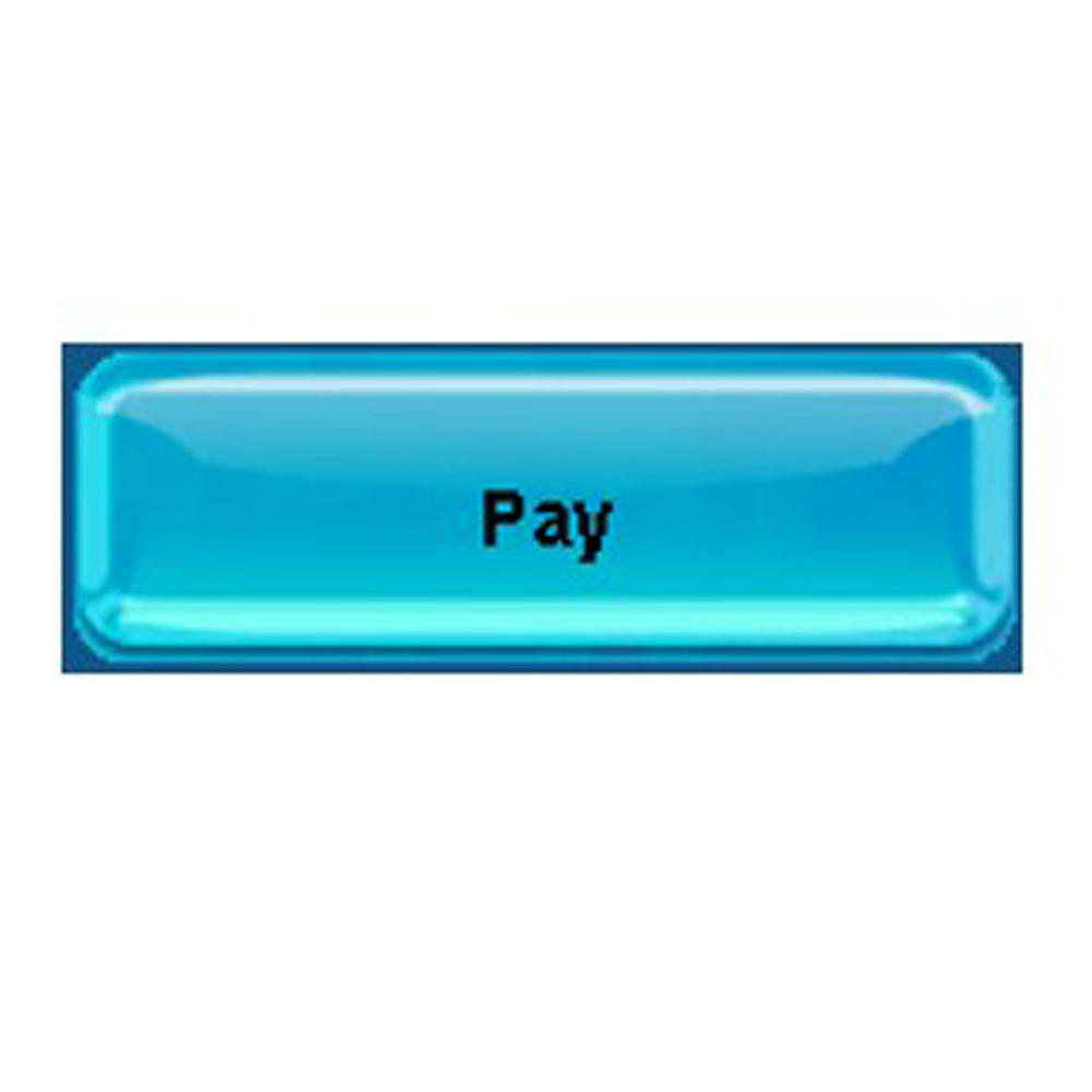 Pay icon