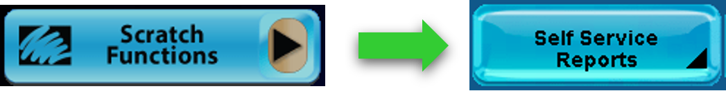 self service reports 1